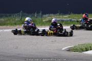 20110501_ales_agnus (2400)